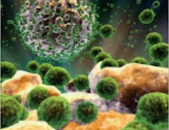 Лимфоцит-Т (белый шар) производит тысячи новых вирусов ВИЧ (зеленные шарики).